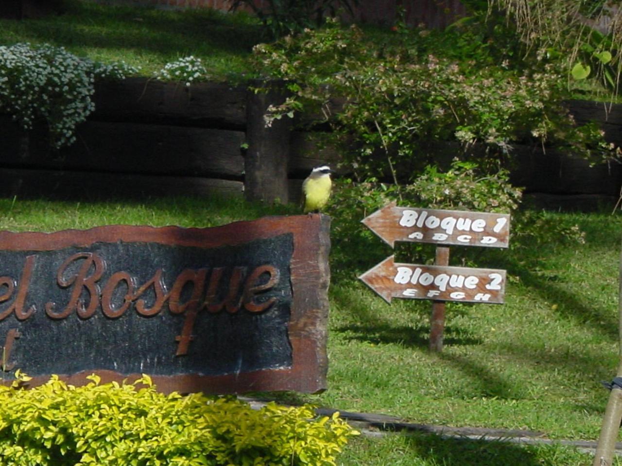 Вилла Refugio Del Bosque Карило Экстерьер фото