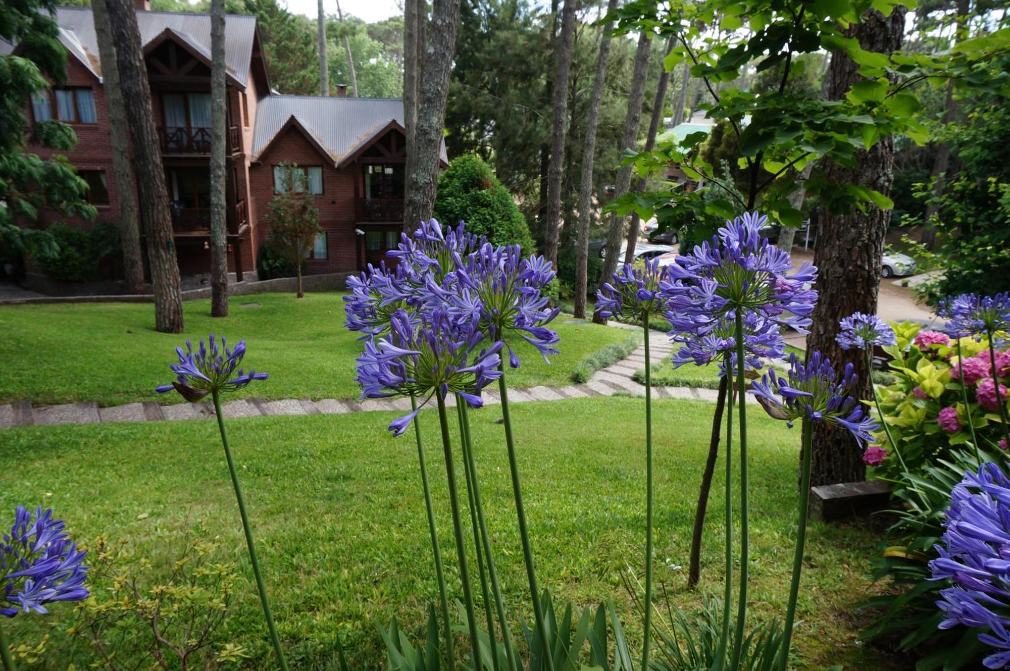Вилла Refugio Del Bosque Карило Экстерьер фото